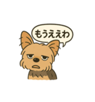 関西弁のヨークシャーテリア（個別スタンプ：2）