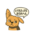 関西弁のヨークシャーテリア（個別スタンプ：6）