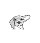 【変顔犬①】（個別スタンプ：8）