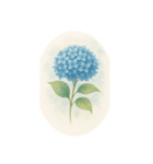 6月の花、アジサイ、Hydrangea（個別スタンプ：1）