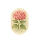 6月の花、アジサイ、Hydrangea（個別スタンプ：2）