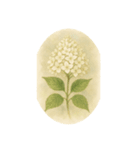 6月の花、アジサイ、Hydrangea（個別スタンプ：3）