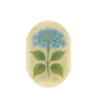 6月の花、アジサイ、Hydrangea（個別スタンプ：7）