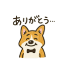 コーギーver.1（Zooっとぼーっと）（個別スタンプ：2）