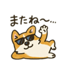コーギーver.1（Zooっとぼーっと）（個別スタンプ：4）