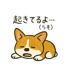 コーギーver.1（Zooっとぼーっと）（個別スタンプ：7）