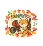 柴犬とバイク（個別スタンプ：6）