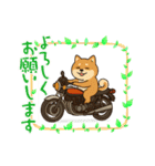 柴犬とバイク（個別スタンプ：7）