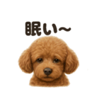 とにかく眠いトイプードル犬のライン（個別スタンプ：5）