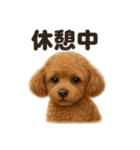 とにかく眠いトイプードル犬のライン（個別スタンプ：7）