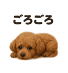 とにかく眠いトイプードル犬のライン（個別スタンプ：8）
