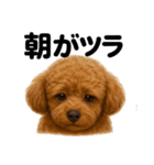 とにかく眠いトイプードル犬のライン（個別スタンプ：13）