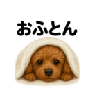 とにかく眠いトイプードル犬のライン（個別スタンプ：16）