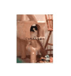 かわスタンプ+（個別スタンプ：5）