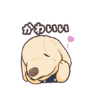 うちのイヌなど③（個別スタンプ：3）