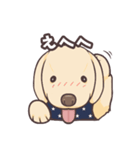 うちのイヌなど③（個別スタンプ：4）
