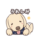 うちのイヌなど③（個別スタンプ：10）