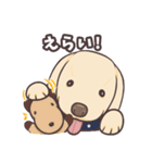うちのイヌなど③（個別スタンプ：12）