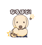 うちのイヌなど③（個別スタンプ：15）