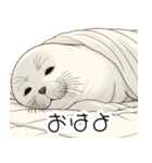 人間みたいなアザラシ（個別スタンプ：7）