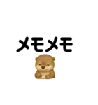 カワウソノーマル（個別スタンプ：25）