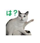爆裂招き猫 とくたそ（個別スタンプ：6）