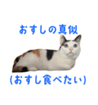爆裂招き猫 とくたそ（個別スタンプ：14）