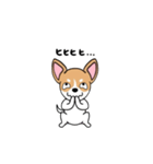 おすわりワンワン！スムースチワワたん！（個別スタンプ：3）