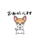 おすわりワンワン！スムースチワワたん！（個別スタンプ：7）