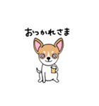 おすわりワンワン！スムースチワワたん！（個別スタンプ：8）