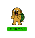 いぬカメさん（個別スタンプ：4）