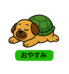 いぬカメさん（個別スタンプ：5）