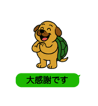 いぬカメさん（個別スタンプ：6）