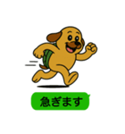 いぬカメさん（個別スタンプ：9）