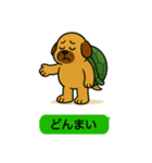 いぬカメさん（個別スタンプ：11）