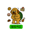 いぬカメさん（個別スタンプ：12）