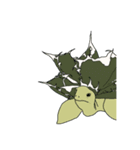 アガメ（個別スタンプ：14）
