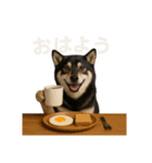 リアル黒芝(日常)（個別スタンプ：1）