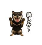 リアル黒芝(日常)（個別スタンプ：6）