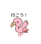 フラミンゴ、日本語バージョン（個別スタンプ：1）