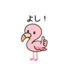 フラミンゴ、日本語バージョン（個別スタンプ：5）