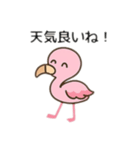 フラミンゴ、日本語バージョン（個別スタンプ：6）