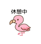 フラミンゴ、日本語バージョン（個別スタンプ：8）