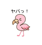 フラミンゴ、日本語バージョン（個別スタンプ：9）
