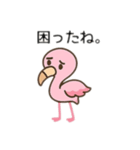 フラミンゴ、日本語バージョン（個別スタンプ：10）