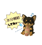 楽し～ぃ夏だワン♪（個別スタンプ：9）