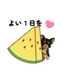 楽し～ぃ夏だワン♪（個別スタンプ：13）