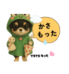 楽し～ぃ夏だワン♪（個別スタンプ：14）