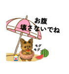 楽し～ぃ夏だワン♪（個別スタンプ：21）