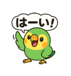 おしゃべりインコの毎日スタンプ（個別スタンプ：1）